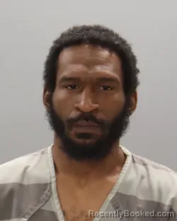 Mugshot of JURRAILLE TRAVIS PANNELL