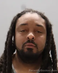 Mugshot of JOAQUIN AARON NOLAN