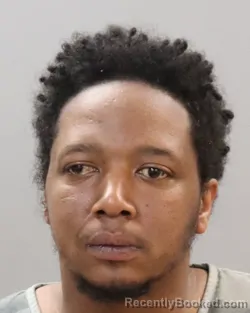 Mugshot of DERRICK MAURICE STINSON