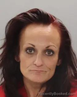 Mugshot of JANEL LOUISE EMBREY booked in Knox County, Tennessee on July 9, 2026