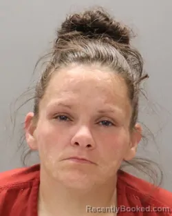 Mugshot of APRIL LEANN MONNETT booked in Knox County, Tennessee on May 10, 2026