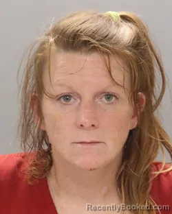 Mugshot of Kristan Leanna Hawkins booked in Knox County, Tennessee on August 19, 2026