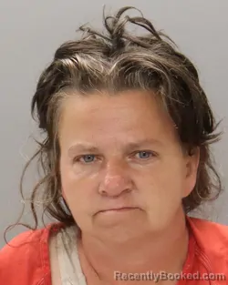 Mugshot of BRENDA GAIL HUNTER booked in Knox County, Tennessee on June 15, 2026