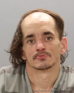 Mugshot of MCKINSEY RYAN SNEED