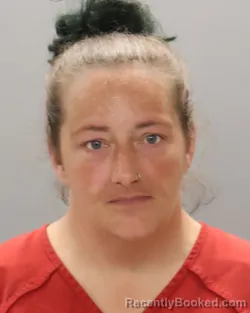 Mugshot of TABITHA MARIE WALLACE