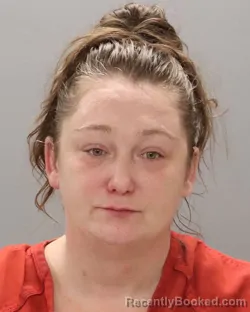 Mugshot of JENNIFER ERIN SPARKS