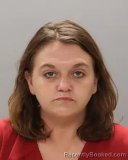 Mugshot of PAMELA LYNN ANDERSON