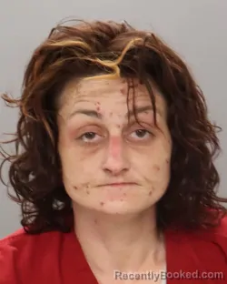 Mugshot of ASHLEY NICOLE BAKER booked in Knox County, Tennessee on May 13, 2026