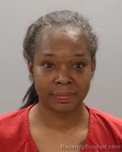 Mugshot of JOHNEISHA TIERRA RODGERS booked in Knox County, Tennessee on April 23, 2026