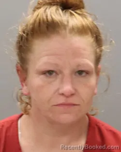 Mugshot of Tara Nicole Keller