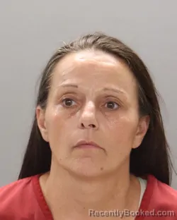 Mugshot of Tina Angela Clark booked in Knox County, Tennessee on August 15, 2026