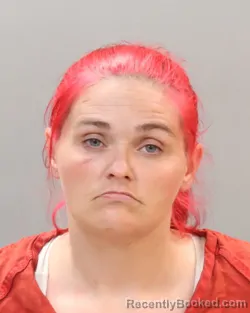 Mugshot of VICKI MAE HILL