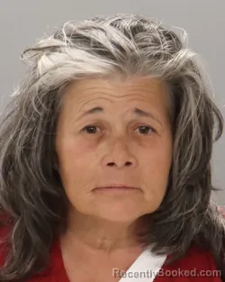 Mugshot of LESHA ELAINE MASSENGILL