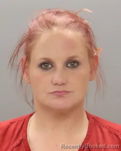 Mugshot of WANDA SUE PHILLIPS booked in Knox County, Tennessee on July 12, 2026