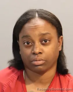 Mugshot of IESHA TERRIE FLEMMING