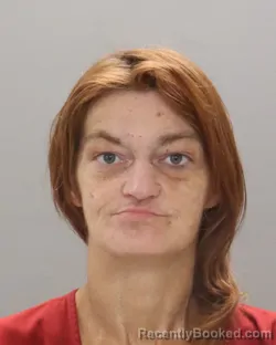 Mugshot of SIERRA NICHOLE ALEMAN booked in Knox County, Tennessee on July 13, 2026