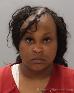 Mugshot of NATALYA DIONNTAE KIRK booked in Knox County, Tennessee on April 23, 2026