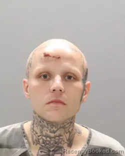Mugshot of SHANE LES BRYANT