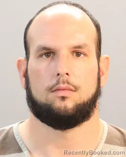 Mugshot of MICHAEL WITT