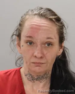 Mugshot of JANA DENISE COLLINS