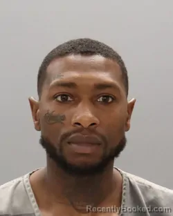 Mugshot of JAMIEN SHAWAN THAMES