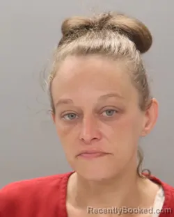Mugshot of Chelsey Brooke Tyree booked in Knox County, Tennessee on August 22, 2026
