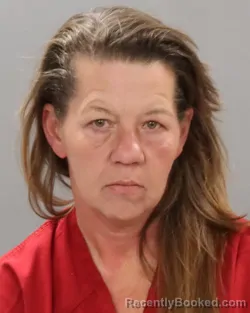 Mugshot of HOLLI NICOLE SCHNICKE