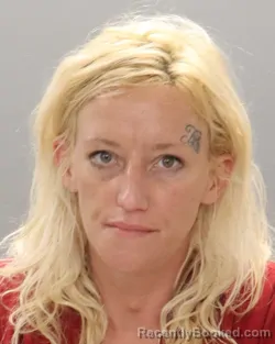 Mugshot of ASHLEY NICOLE PLEMMONS