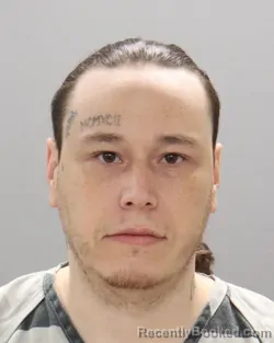 Mugshot of PRESTON RYAN MILLS