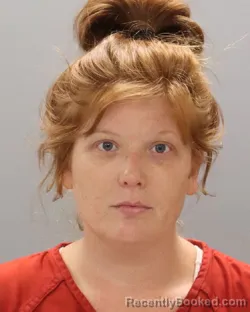 Mugshot of HEATHER NICOLE RYAN booked in Knox County, Tennessee on July 3, 2026