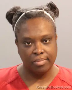 Mugshot of CARLA NICOLE JOHNSON