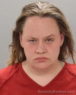 Mugshot of LINDSAY ERICKA SILVA