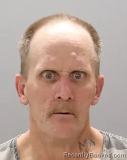 Mugshot of DENNIS BRYAN RAY