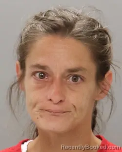 Mugshot of STEPHANIE LYNN HAMPTON booked in Knox County, Tennessee on May 15, 2026