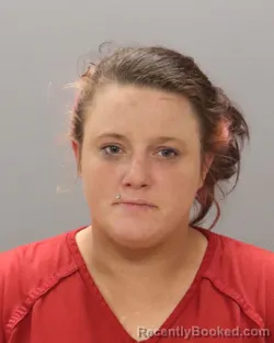 Mugshot of BRANDY MICHELLE LEE