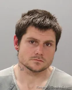 Mugshot of NICHOLIS RYAN POTTER