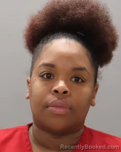 Mugshot of MONICA NICOLE BRABSON