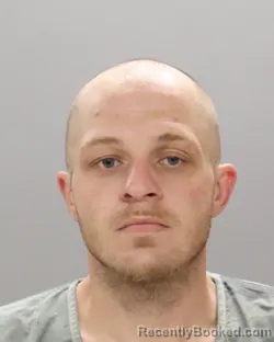 Mugshot of SHANE LYNN CANIPE