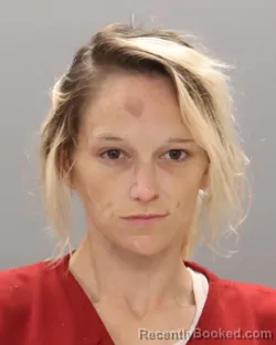 Mugshot of HAYLEIGH CHRISTINE HENEGAR booked in Knox County, Tennessee on July 6, 2026