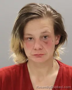 Mugshot of ASHLEY MARIE DOUGLAS