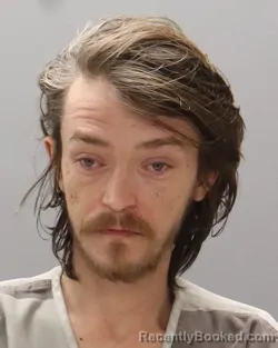 Mugshot of BRANDON LEE EVANS