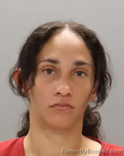 Mugshot of ANASTASIA NICOLE NELSON booked in Knox County, Tennessee on July 7, 2026