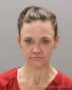 Mugshot of SARAH TAREESE ERVIN booked in Knox County, Tennessee on June 21, 2026