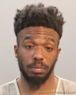 Booking photo from Knox County, Tennessee