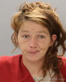 Mugshot of AMANDA DANIELLE EVERETT