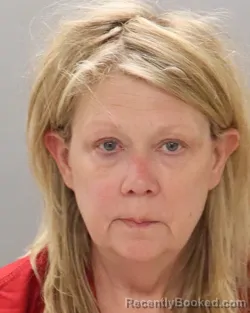 Mugshot of KELLY ELIZABETH PHILLIPS booked in Knox County, Tennessee on June 13, 2026