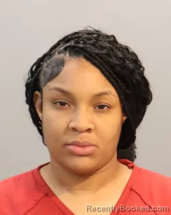 Mugshot of SHANDASIA MARSHAY TURNER