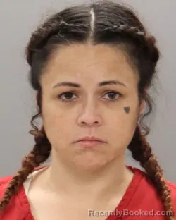 Mugshot of CARRIE ELIZABETH DAVIS booked in Knox County, Tennessee on June 29, 2026