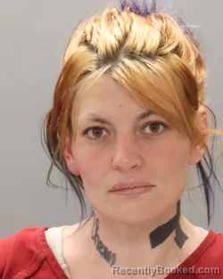 Mugshot of ALLISON DIANE MCLANEY booked in Knox County, Tennessee on May 13, 2026