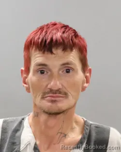 Mugshot of PAUL MICHAEL LENZ